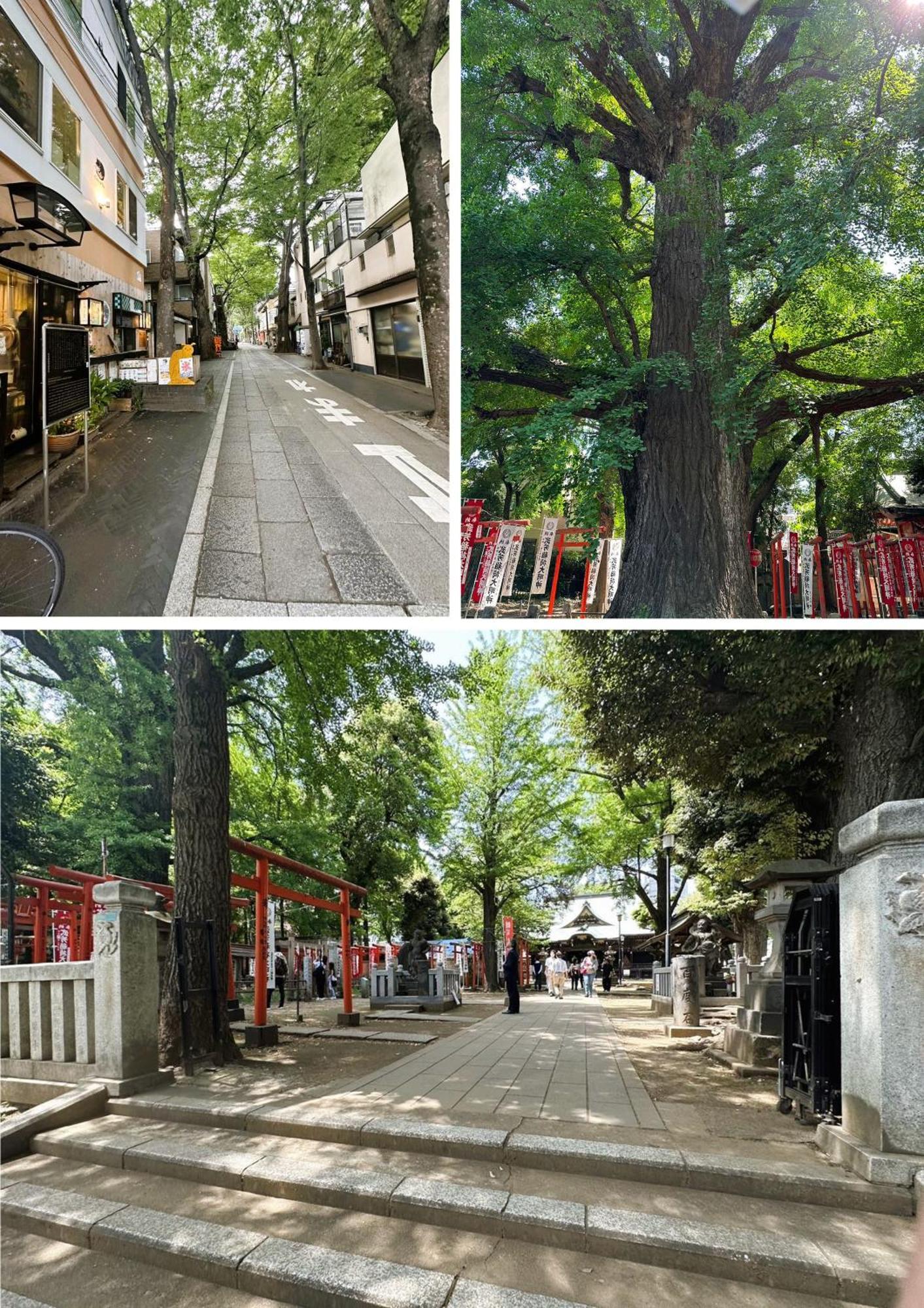 雅ⅱ Präfektur Tokio